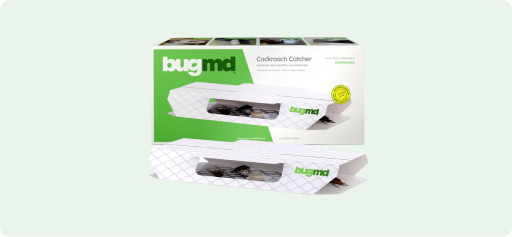 Bug Catcher Sticky Traps